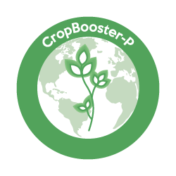 Logo Cropboosterp